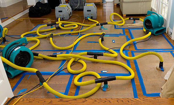 Professional Crawl Space Water Removal technician working in Santa Rosa, NM